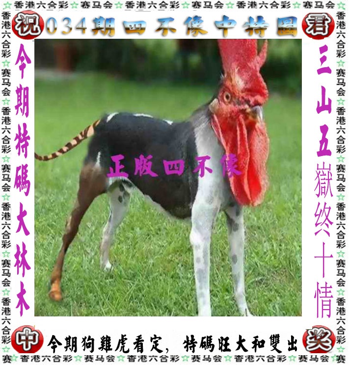 034期正版四不像[图]